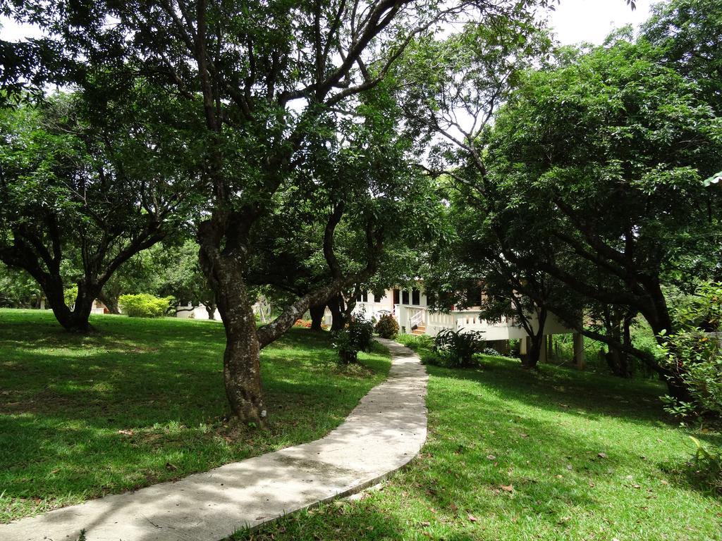 Chang Garden Resort Mae Chan Buitenkant foto